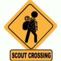 scouts_crossing2.gif